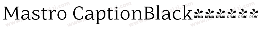 Mastro CaptionBlack字体转换